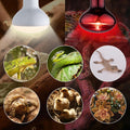 Heat lamp Bulbs Day & Night Combo, 100 Watt UVA Daylight Basking Spot Light and Red Infrared Heating Light for Bearded D