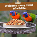 Trailmark Naturals - 3 LB - Raw Shelled Peanuts For Squirrels, Out of Shell Peanuts For Birds and Wildlife- Squirrel Food, Wild Bird Seed - Grown in The USA