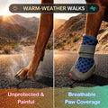 Dog Shoes for Small Dogs, Puppy Boots for Hot Pavement, Blue Size 3