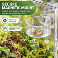 Jumping Spider Feeding Dish 1 Pcs Magnetic Water Bowl for Tarantula