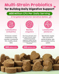 French Bulldog Probiotics - All Life Stages, Chicken Flavor