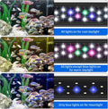 AQUANEAT LED Aquarium Light for 12 Inch Fish Tank, Auto On Off with Timer, Full Spectrum, Adjustable Brightness, Dayligh