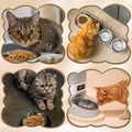 6Pcs Stainless Steel Pet Feeding Bowls, 6.1 Inches Shallow Wide Flat Cat Food Bowls, Puppy and Kitten Feeding Bowls, Whisker Fatigue Relief, Fits Elevated Bowl Stands