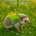 Hedgehog Leash and Harness Clothes Accessories, Dinosaur Shaped Harness Leash for Training Playing, Hamster Clothes for 