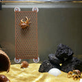 Hermit Crab Climbing Toy, Reptile Habitat Decor Exercise Playground Hermit Crab Accessories for Tank and Aquarium Decora