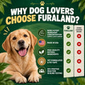 Grass Burn Spot Chews for Dogs - Dog Urine Neutralizer for Lawn, Rocks