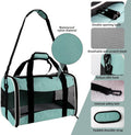 Small Animal Travel, Carrier for Hedgehog Rat Parrot Bird Guinea Pig, Lizards Carrier, Soft Sided Travel Carrier Portabl