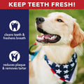 Pet Factory American Beefhide 5in Twist Sticks Dog Dental Chews - Natural Rawhide Dental Chews for Small to Medium Dogs, Promotes Oral Health - Natural, 5 Inches (1 lb Pack)