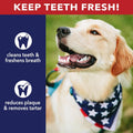 Pet Factory American Beefhide 20-22" Knotted Bone Dog Chew Treat - Natural Flavor, 1 Count/1 Pack
