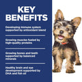 Hill's Science Diet Puppy Small & Mini Dry Dog Food