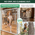 FXW AuraSpace Pro Clear Acrylic Indoor Dog Playpen, 32" H, 8 Panels