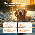 Zesty Paws Turmeric Dog Joint Supplement - Joint Supplement for Dogs 90Ct