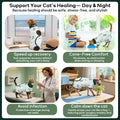 QBLEEV Cat Recovery Suit for Post Surgery, Spay Neuter Onesie for Cats