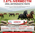 Ivermectin Horse Paste 1.87% Apple Flavored Horse Dewormer, Equine Wormer Paste, Horse Wormer, 6.08g Tube, Treats Up to 