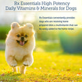 Rx Vitamins Essentials for Dogs - Daily Vitamins & Minerals - with Blue Spirulina, Kelp Powder, and Milk Thistle - Complete Canine Vitamins and Essential Minerals Powder - 8 oz