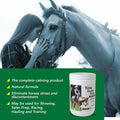Ramard Total Calm & Focus Horse Calming Supplement, Magnesium, 6.75 lbs