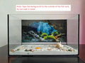 Underwater Cave Aquarium Background Rocks Water Plants Sunburst Landscape Fish Tank Background 24x12 Inches PVC Glass Co
