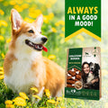 Dog Treats Bones Wrapped Chicken & Rawhide Free Chew - Pet Healthy Dried Snacks & Grain Free Meat - Bulk Best Chews for 