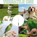 hhdatc 2PCS Chicken Peck Toys Poultry Enrichment Swing & Slow Feeder Chicken Treat Dispenser for Hens Ducks Birds and Parrots Transparent Coop Toys for Fun & Feeding