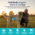 Solid Gold Lamb Dry Dog Food for Adult & Senior Dogs, Probiotics, 24LB