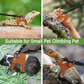 Bearded Dragon Harness Leash Set 3 Size Adjustable Lizards Training Walking Leather Vest Escape-Proof Traction Rope for 