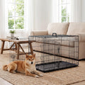 Aidoly Dog Crate - Medium 36 Inch Double Door Portable Dog Cage, Metal Wire Pet Kennel with Secure Lock, Leak-Proof Pan Tray, Foldable Design for Dogs Pets Indoor Training and Outdoor Travel
