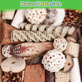 Kyouki Bird Toys Parrot Toys Natural Bird Foraging Box Foot for Parakeets,Cockatiels,Conures,Love Birds,and Other Small to Medium Birds (Medium)