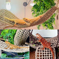 Tfwadmx 2 Pack Large Bearded Dragon Hammock,30"x7"Lizard Climbing Lounger,Natural Seagrass Reptile Hammocks Tank Accesso