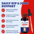 Wellix 4 oz (120 ml) Joint Supplement for Dogs & Cats, Hip & Joint Supplements with Glucosamine Chondroitin MSM, Turmeric Drops, Dogs & Cats Universal Formula, Mobility & Flexibility & Hip Support