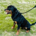 Aiminto Dog Leash, Braided Rope Traction – Walking Training Lead for Medium/Large Dogs ((1/2") x 6FT, Black)