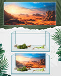 Breling 36 x 18 Inch 4 Pcs Reptile Tank Background,Habitat Scenes, Style1