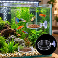 Shrimp Feeding Dish with Suction Cup, Fish Tank Feeder Dishes