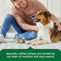 Nutrish Chicken Wet Dog Food Chunks in Gravy, 13 oz. Pack 12 (Rachael Ray)