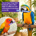12 Pcs Chinese Finger Traps, Bamboo Finger Traps Pet Bird Chew Foraging Classic Chopper Toy Fun Birthday Party Favors, C