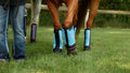 Warrior Fly Boots for Horses - Breathable Mesh Horse Boots for Fly Protection & Leg Comfort - Set of 4 (Trojan Warrior, 