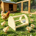 Cubolar Pine Chicken Perch with Mirror, Strong Chick Jungle Gym Roosting Bar, Chicken Toys for Coop and Brooder, Training Perch Toys for Large Bird, Parrot, Macaw, Hens (Small)