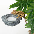 REPTIZOO Reptile Magnetic Feeder Ledge, Single Bowl Reptile Food Dish with 3PCS Feeding Cups Food Water Feeder for Crest