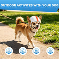 NAMSAN Dog Helmet for Small Dogs Cats, XS Pet Helmets Outdoors Cycling Riding, Head Protection Dog Helmets with Ear Hole