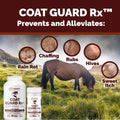 Extra Large. 2 Lbs. Coat Guard Rx™ Coat, Tail, Mane Powder for Horses - Rain Rot, Sweet Itch, Treatment & Dry Shampoo fo