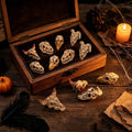CCINEE 12 Pcs Mini Resin Animal Skull Heads in 4 Styles, Realistic Hand-Polished Skull Figurines for Halloween Decor, Aq
