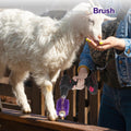 Willinglong 2 Pcs 4 Inches Livestock Mini Drill Scratch Brush Purple Brush Grooming Kit Suitable for Cattle, Cows, Horse