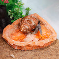 3 Pack Reptile Food Dish, Resin Hermit Crab Food & Water Bowl, Reptile Feeding Food Dish Kit, Tank or Aquarium Accessory