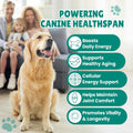 NAD+ Drops for Dogs, Dog Longevity Supplement with NMN & Resveratrol, 2 oz