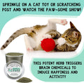 from The Field | Organically Grown Catnip Fine Ground Stalkless |3.5 Oz Tub
