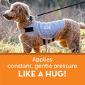 ThunderShirt for Dogs Calming Anxiety Vest, X Large, Platinum Sport