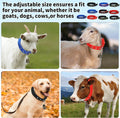10 Sets Adjustable Goat Collars for Sheep Cows Horse Farm Animals
