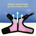Bunny Harness and Leash Escape Proof Soft Mesh Rabbit Leash and Harness Set