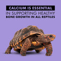 Zilla Reptile Calcium Supplement Spray, 8 Fluid Ounce