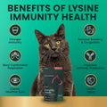 VetriScience Lysine Immunity Health Chews, 250 mg Lysine Plus Immune Supplement for Cats and Kittens with Allergies, Sneezing, Runny Nose and Watery Eyes, Chicken, 120 Count