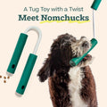 WOOF Nomchucks Dog Puzzle & Tug Dual Purpose Toy